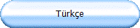 Türkçe